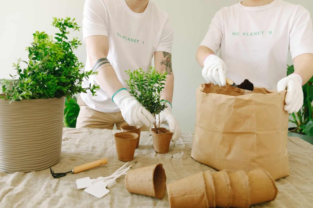 Pexels Thirdman 7655912 1024x683